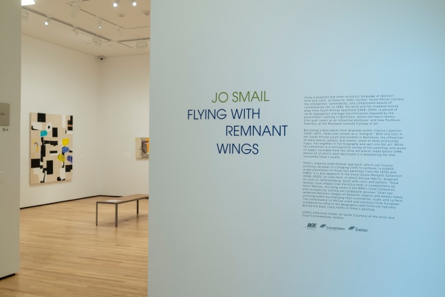 Installation of&amp;nbsp;Jo Smail:&amp;nbsp;Flying with Remnant Wings&amp;nbsp;at The Baltimore Museum of Art, Baltimore MD.&amp;nbsp;
Photography&amp;nbsp;by Mitro Hood