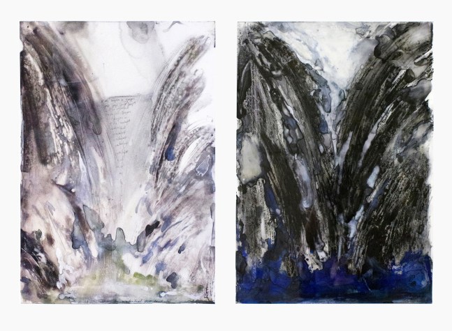 Study for Waterfall H2O Lenticular I and II,&amp;nbsp;2005

Mixed media on Mylar

Each: 36 x 28 1/2 in. (91.4 x 72.4 cm)

SOL-0041-C / SOL-0042-C

&amp;nbsp;