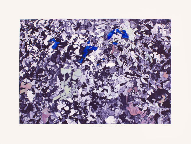 Fast Fashion in Blue at Dawn I, 2022
Hand colored monoprint   
22 x 30 in. (55.9 x 76.2 cm)
Sala-1306-C-OS