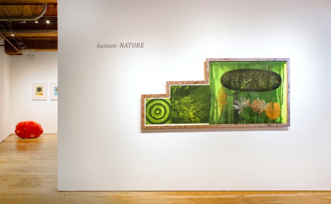 human &amp;middot; NATURE&amp;nbsp;at Goya Contemporary, Baltimore, MD.