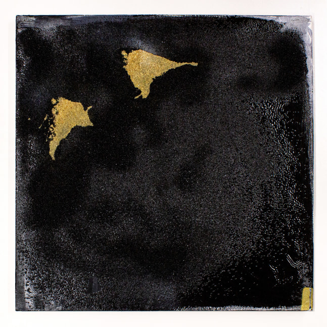 Rosy Keyser
Gold Tooth (Cracked), 2008
Obsidian, sawdust, dye, and enamel on canvas
30 x 30 in. (76.2 x 76.2 cm)
rosy-0001-O