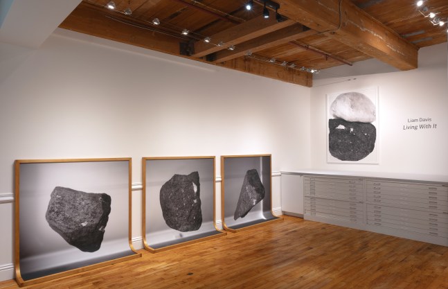 Liam Davis: Living With It at Goya Contemporary Gallery, Baltimore.