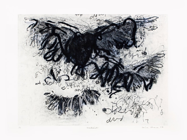 Black Birds, 1997
Solar Plate Etching
22 x 30 in. (55.88 x 76.2 cm)
Edition of 5
Printed and published by Goya Contemporary / Goya-Girl Press
CHA-0210-CO