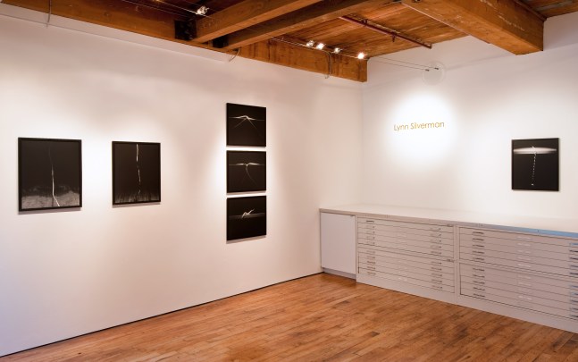 Installations of Lynn Silverman: Lifelines at Goya Contemporary, Baltimore, MD.