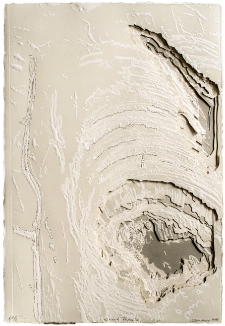 Territories Series: Czech Republic, 2013
Printing, laser cutting, embossing and sewing on 600g Fabriano paper
24 x 16 in. (61 x 40.6 cm)
AP edition of 3
Sala-1086-C
