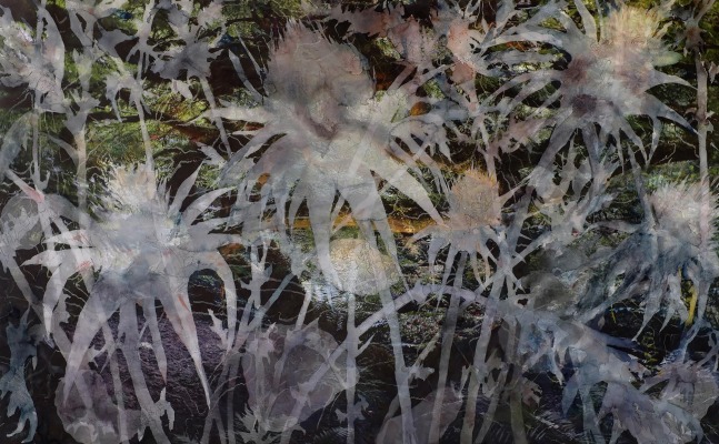 Just Weeds, 2014 - 2015
Watercolor, pencil and archival pigment print on paper
30 x 45 in. (76.2 x 114.3 cm)
Neil-1047-C