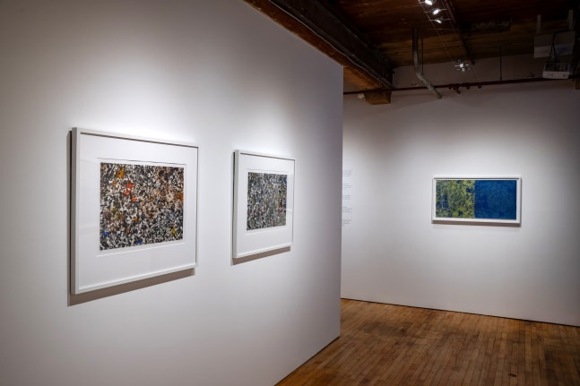 Soledad Salamé: Camouflage at Goya Contemporary Gallery, Baltimore. Photo: Mitro Hood.