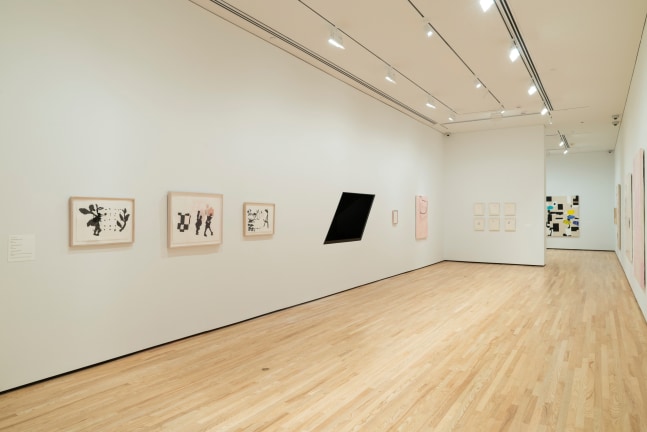 Installation of&amp;nbsp;Jo Smail:&amp;nbsp;Flying with Remnant Wings&amp;nbsp;at The Baltimore Museum of Art, Baltimore MD.&amp;nbsp;
Photography&amp;nbsp;by Mitro Hood