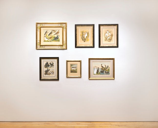 Installation view of artworks by Brandon Ballengée. Photo courtesy Goya Contemporary Gallery.