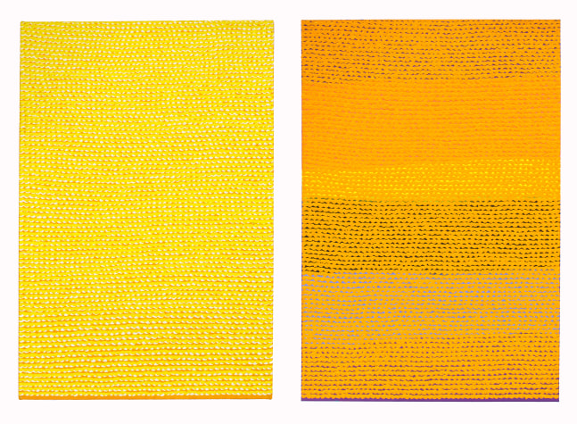 Untitled (Yellow and Orange), 2010 
Oil on Canvas
36 x 48 in. (91.4 x 121.9 cm)
Kees-1020-C