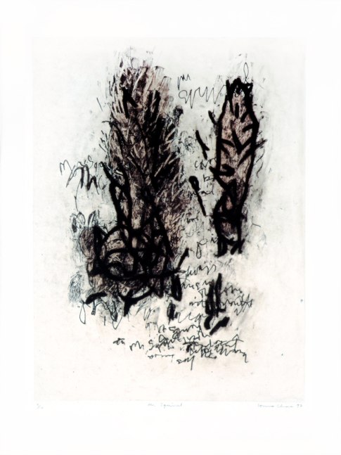 Mr. Squirrel, 1997
Solar etching on Somerset white paper
31 x 22 in. (78.86 x 55.88 cm)
Edition of 10
Printed and published by Goya Contemporary / Goya-Girl Press
CHA-0143-CO
