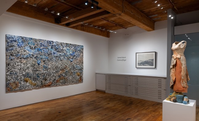 Soledad Salamé: Camouflage at Goya Contemporary Gallery, Baltimore. Photo: Mitro Hood.