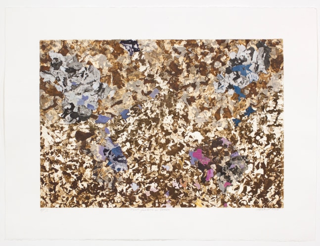 Fast Fashion in Brown, 2023
Hand colored and collaged monoprint
22 x 30 in. (55.9 x 76.2 cm)
AP edtion 1 of 1
Sala-1309-C
