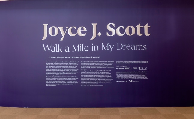 Joyce J. Scott: Walk a Mile in My Dreams&amp;nbsp;at the Baltimore Museum of Art, MD.
Courtesy Baltimore Museum of Art. Photography by Mitro Hood