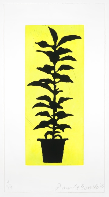 Donald Baechler

Potted Plant,&amp;nbsp;2005

Aquatint and drypoint on Somerset paper

32 x 17 in. (81.3 x 43.2 cm)

Edition 4 of 34

Bae-0012-O