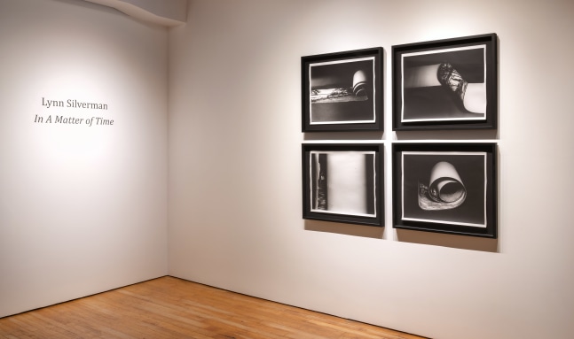 Lynn Silverman: In A Matter of Time at Goya Contemporary Gallery, Baltimore.