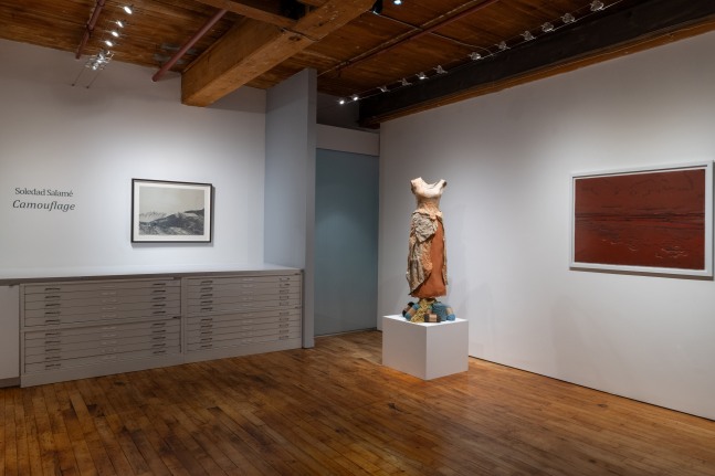 Soledad Salamé: Camouflage at Goya Contemporary Gallery, Baltimore. Photo: Mitro Hood.