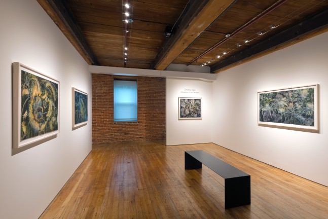 Christine Neill: Metaphors of Light and Night&amp;nbsp;at Goya Contemporary, Baltimore, MD.