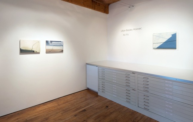 Installation of Lillian Bayley Hoover: As IT IS at Goya Contemporary, Baltimore, MD.