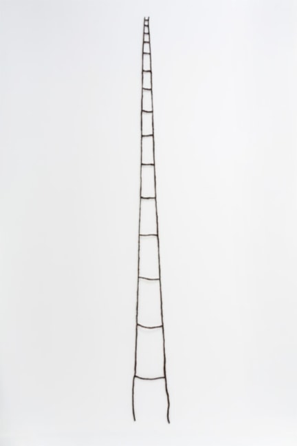 Sonya Clark

Hair Ladder,&amp;nbsp;2013

Human hair

108 x 8 in. (274.3 x 22.9 cm)

Clar-1005-C-OS