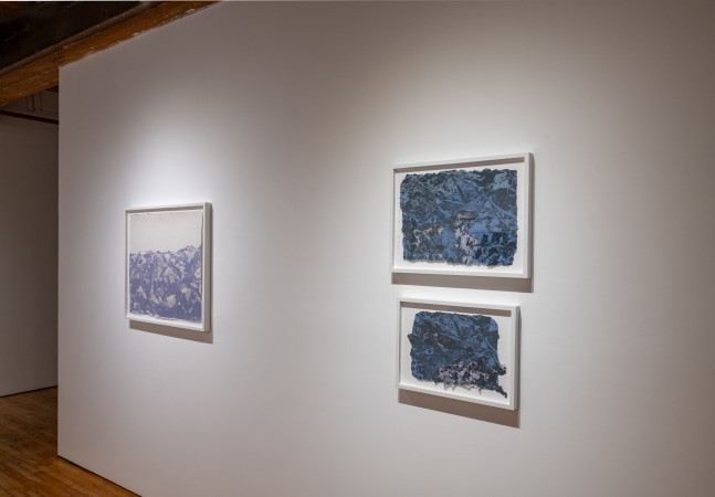 Soledad Salamé: Camouflage at Goya Contemporary Gallery, Baltimore. Photo: Mitro Hood.