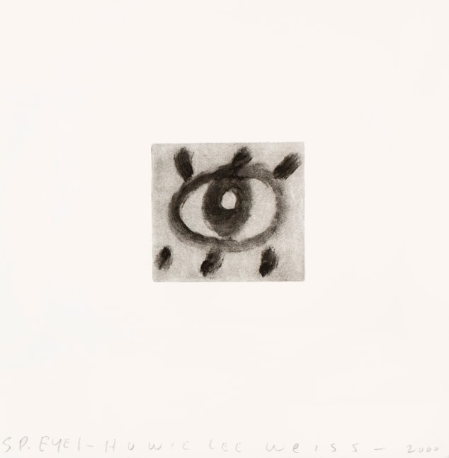 Eye 1,&amp;nbsp;2000
Solar etching
11 3/4 x 12 in. (29.9 x 30.5)
Edition of 10
Published by Goya Contemporary / Goya-Girl Press
HLW-0105-CO