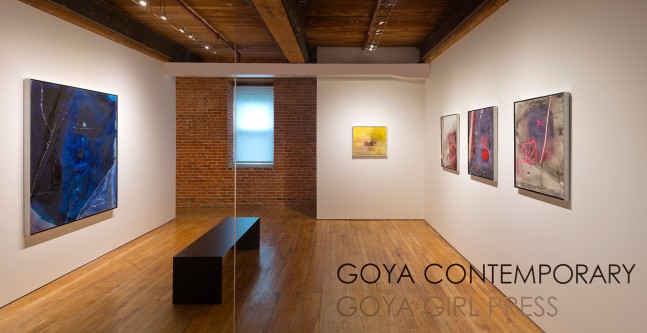 Installation of&amp;nbsp;Sally Egbert&amp;nbsp;at Goya Contemporary, Baltimore, MD.