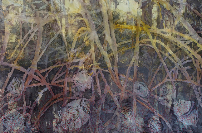 Mangrove Forest, 2017
Archival pigment prints on paper and plexiglass
Paper: 31 x 44.75 in. (78.7 x 113.7 cm)
Frame: 32 x 45.75 in. (81.3 x 116.2 cm)
Neil-1067-C