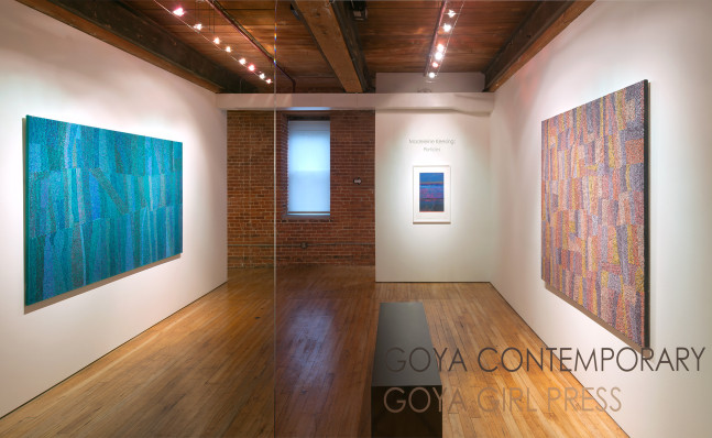 Installation&amp;nbsp;of Madeleine Keesing: Particles at Goya Contemporary, Baltimore, MD.