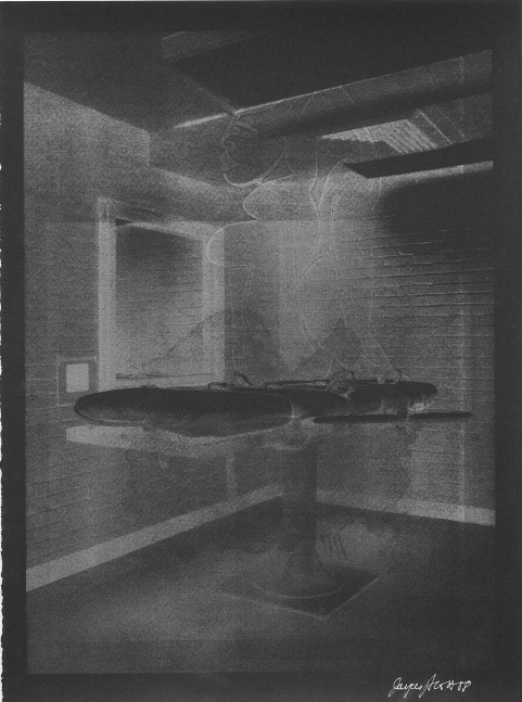 Sexecution II, 2008 
Monotype with screen printing
30 x 22 in. (76.2 x 55.88 cm)
SCO-0323-C