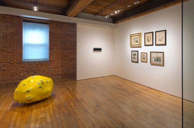 Installation of Repurposed Realities at Goya Contemporary, Baltimore, MD.