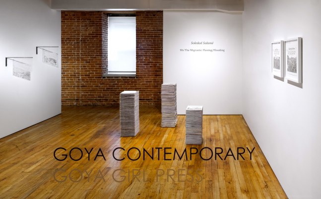 Soledad Salam&amp;eacute; -&amp;nbsp;We The Migrants: Fleeing | Flooding&amp;nbsp;at Goya Contemporary, Baltimore, MD.