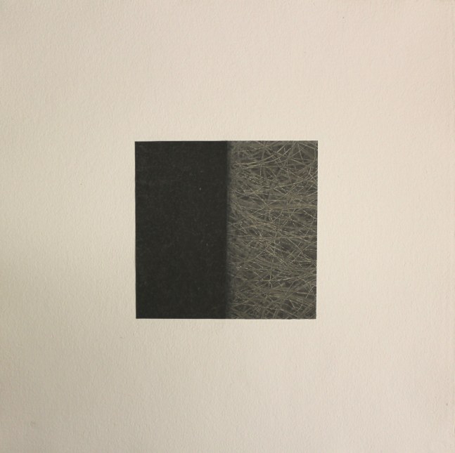 Mudra 189-09-P, 2009 
Monoprint
18 x 17 3/4 in. (45.7 x 45 cm)
Shap-0082-C