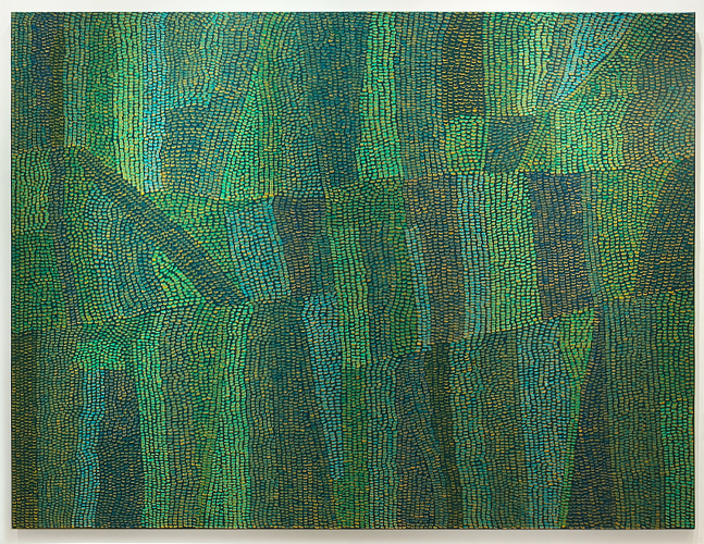 The Forrest, 2013&amp;nbsp;
Oil on Canvas
48 x 60 in. (121.9 x 152.4 cm)
Kees-1007-C