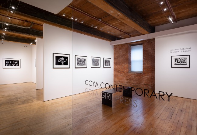 Installation&amp;nbsp;of Amalie R. Rothschild: Rock Icons &amp;amp; Images at Goya Contontemporary, Baltimore, MD.