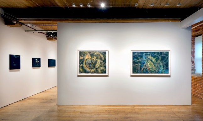 Christine Neill: Metaphors of Light and Night&amp;nbsp;at Goya Contemporary, Baltimore, MD.