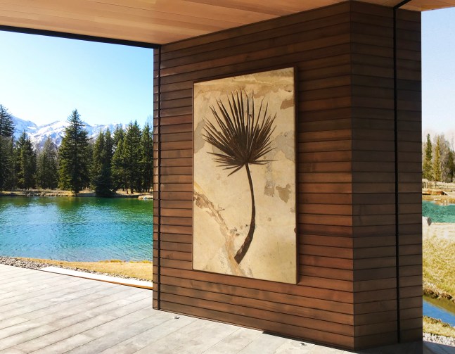 A complete 50 million year old fossil palm frond mural hangs on a covered wood wall outiside a Jackson Hole Wyoming home