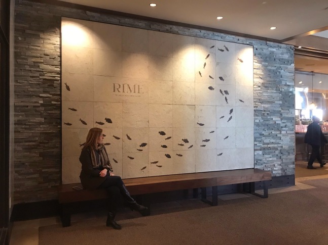 Commercial Applications For Fossils