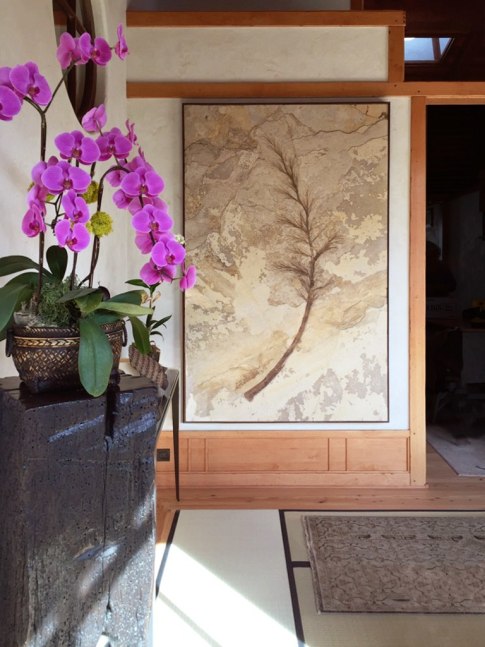 A rare 50 million year old fossil palm flower hangs on the wall of a Malibu home