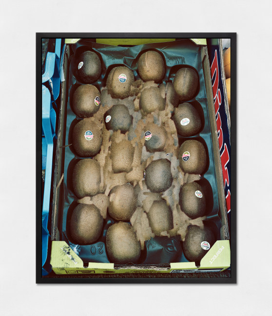 LUCAS BLALOCK  Perfect Kiwis 2017 Archival inkjet print, framed Ed. 2/3 + 2 AP Image 84.5 x 106.5 cm / 33 1/4 x 42 in  BLALO45199