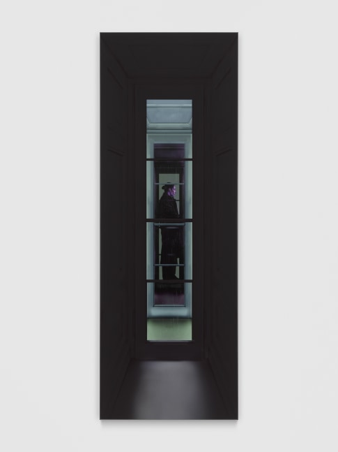 Reunion (Room 9)

2025

Gel medium, ink on PVC

170 x 60 cm / 66 7/8 x 23 5/8 in

&amp;copy; Louisa Gagliardi