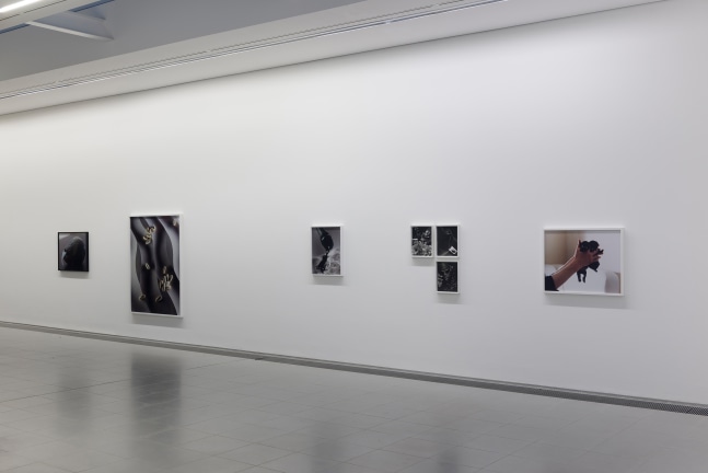 Installation view of photographs by Torbjørn Rødland