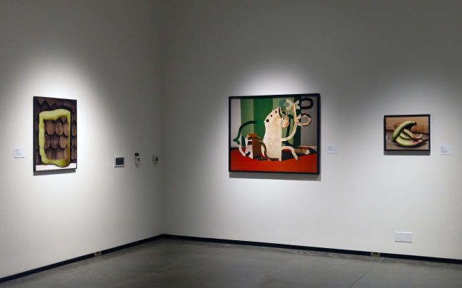 Installation view of Works by Lucas Blalock