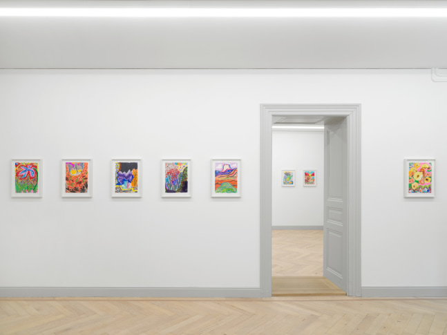 Installation view of Shara Hughes paintings and works on paper exhibition