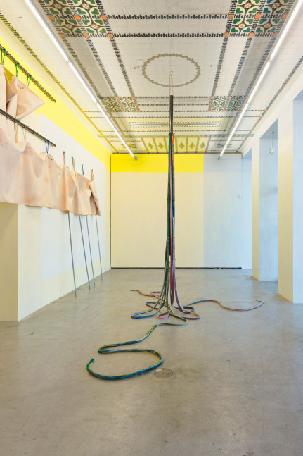Installation view, Liesl Raff, Liaison, Franz-Josefs-Kai 3, Vienna, 2023