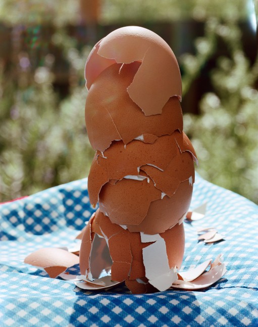 photography by Torbjørn Rødland