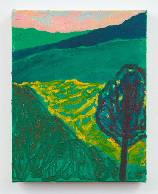 Painting by Shara Hughes