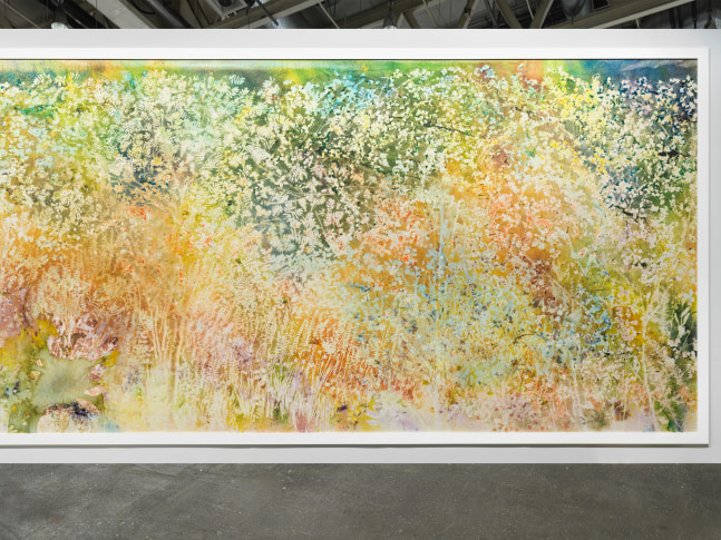 Installation view, Sam Falls, Spring to Fall, Art Basel Unlimited, Basel, 2024