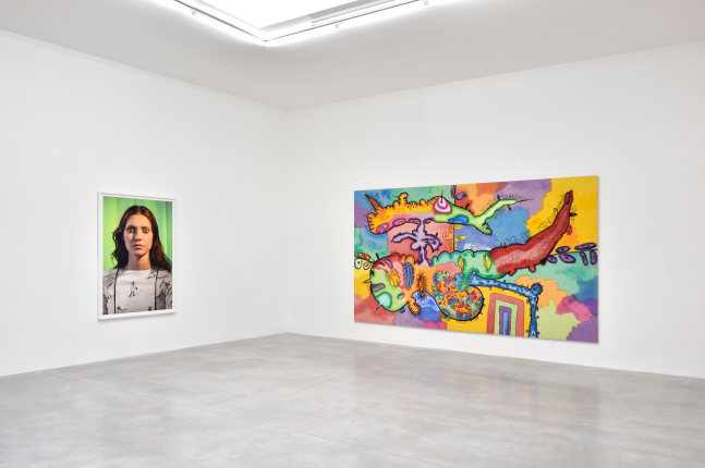 Installation view, Carroll Dunham &amp;amp; Laurie Simmons, Consortium Museum, Dijon, 2024