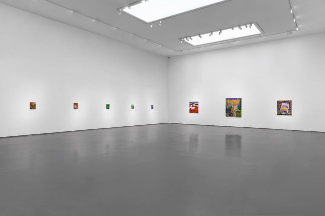 Installation view of paintings by Shara Hughes